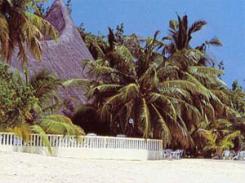 Giravaru Island Resort 3* (  )         :  - 