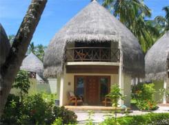  Bandos Island Resort  5* (  )         :  - 